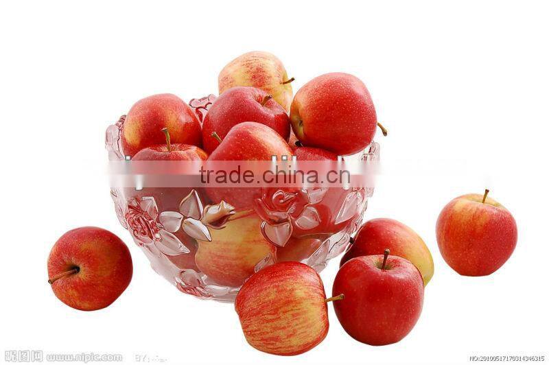 hot sale hot sale fruit peeler/ apple peeler