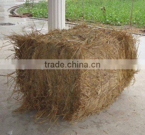 Hydraulic vertical semi-automatic Straw baler machine DB-60T