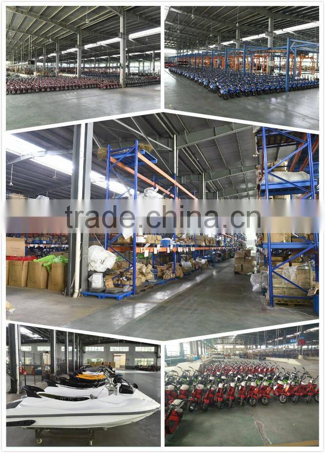 2016 neatly designed cool looking best go kart in the world