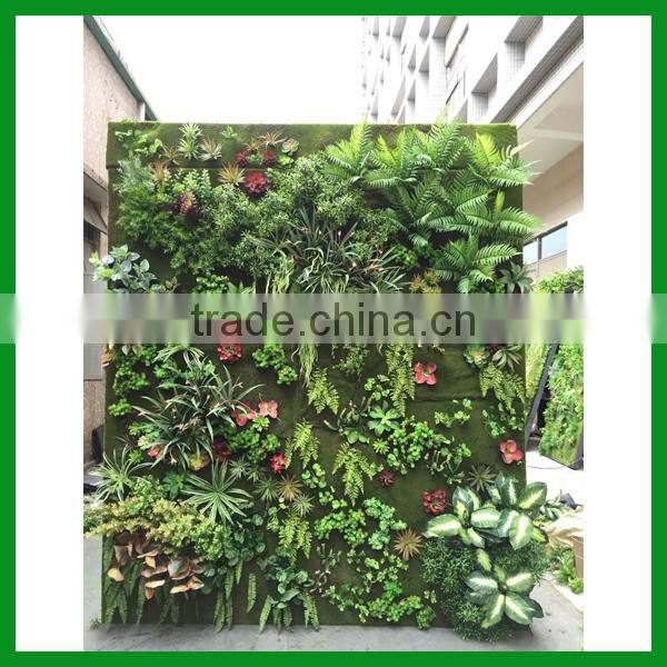 Artificial garden living plant wall