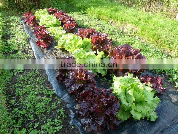 Vegetable Farms Weed Block/Landscape Fabric/Weed Cloth