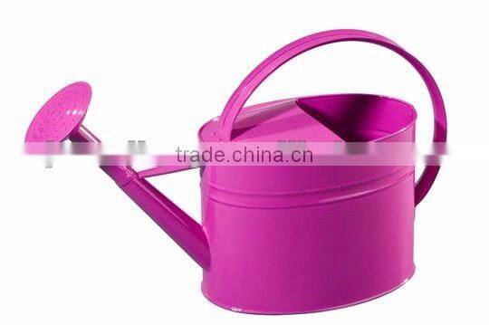 Unique decorative watering can