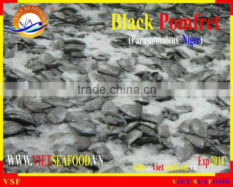 FROZEN BLACK POMFRET WHOLE ROUND