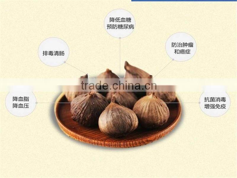 wholesale black garlic Jinxiang factory supply export black garlic