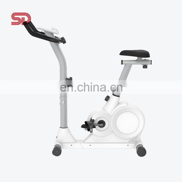 Hot Sale New Fitness Indoor fitness spin bike