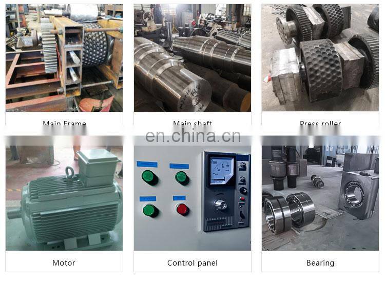 2022 Coal dust fines roller briquetting machine on sale at low price and new technology