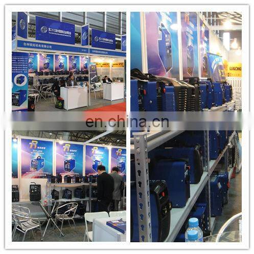 Heavy Duty Cycle MOSFET DC Arc MMA250 Welding Machine Industrial Business