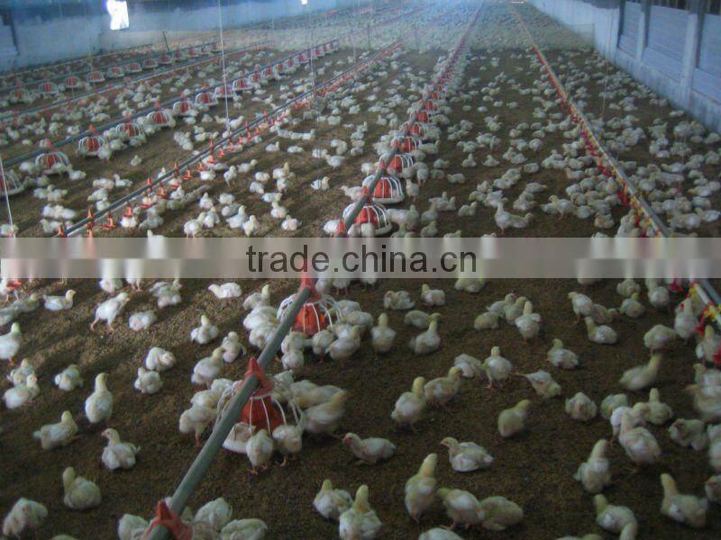 2013 new hot China poultry feeders and drinkers