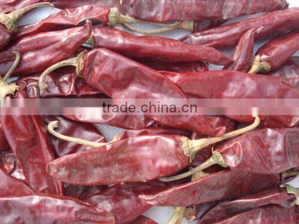 American Red Paprika Chili