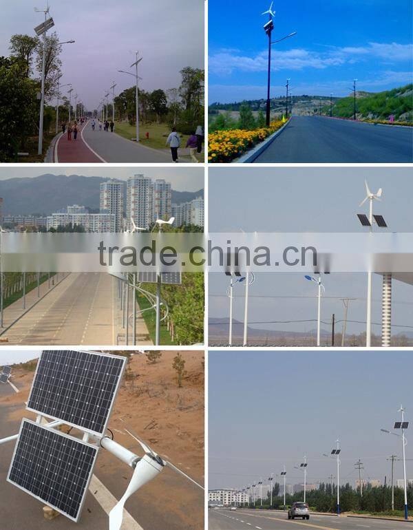 200w output 12v /24v small alternator wind turbine generator /wind generator