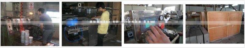 DPB-250C Servo Flat Plate Automatic Blister Packaging Machine