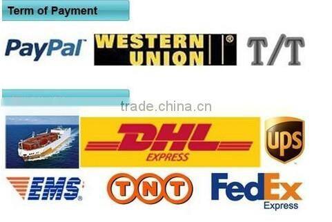 Color Changing LED Outdoor RGB LED Floodlight 10W with 16 Colours