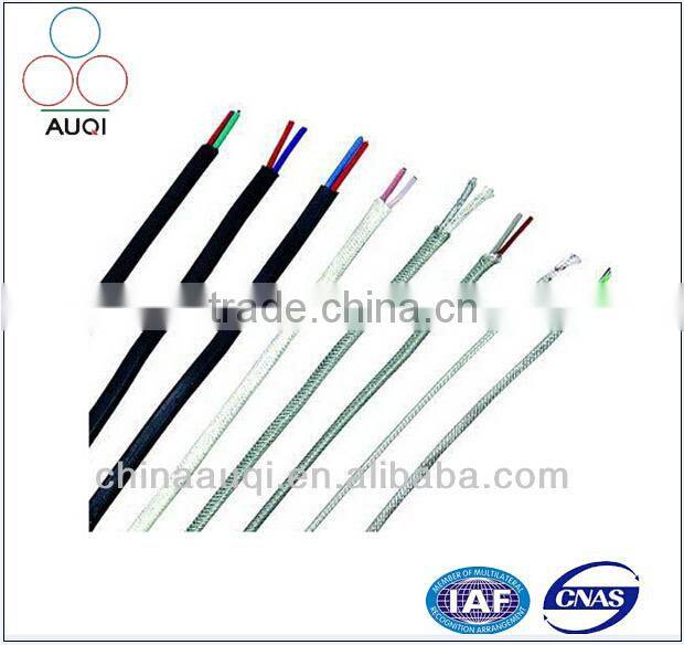 B Type High Pt100 Temperature Sensor Cable for Probe for Industry