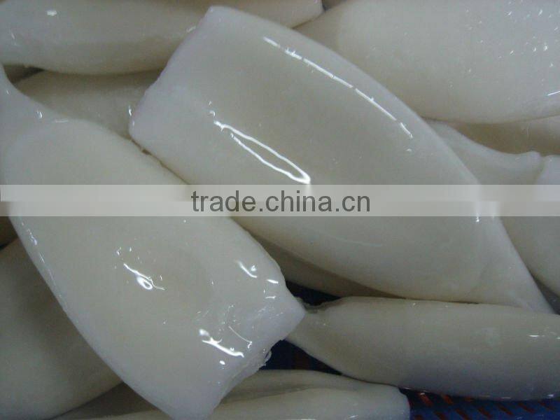 wholesale frozen cleaned squid tube seafood supplier