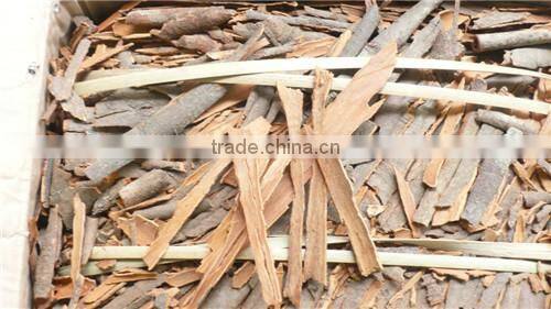 new press-fitting cinnnamon