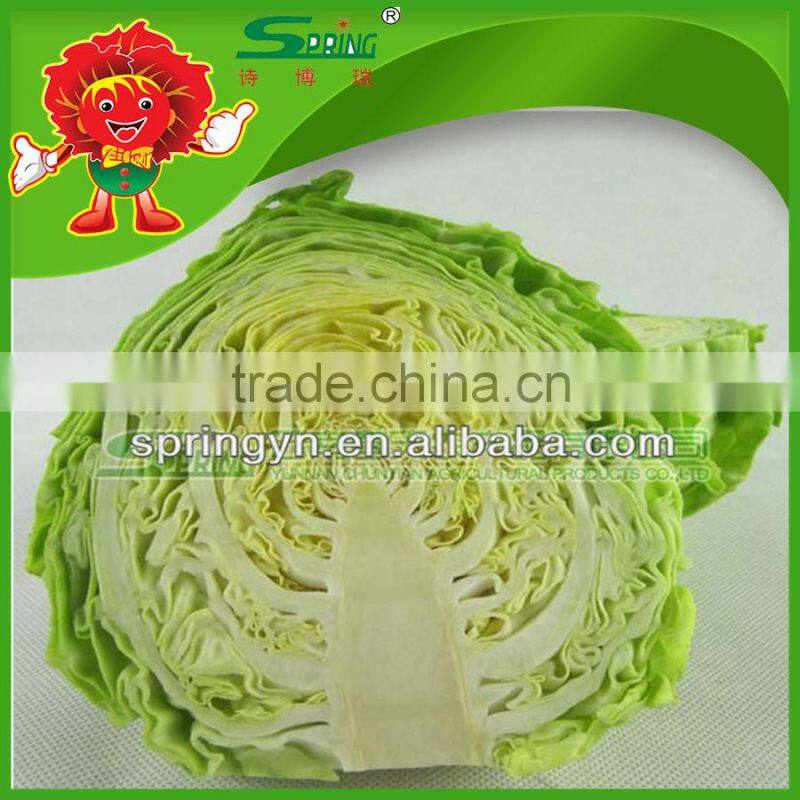 frozen green cabbage From the fields purple cabbage