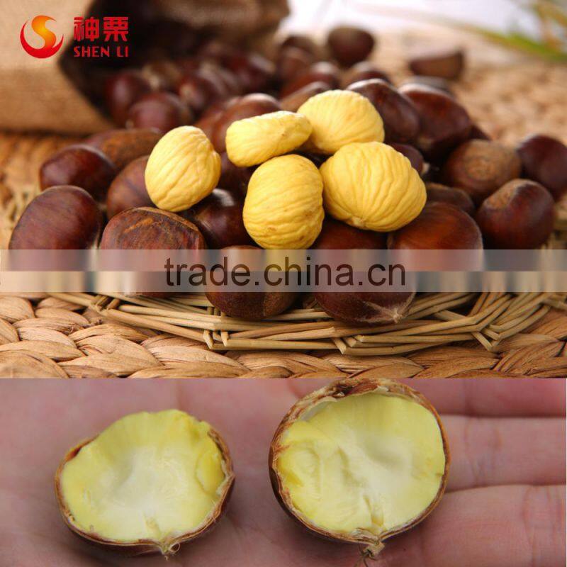 Bulk Fresh Chestnut chinese food wholesale frozen raw food