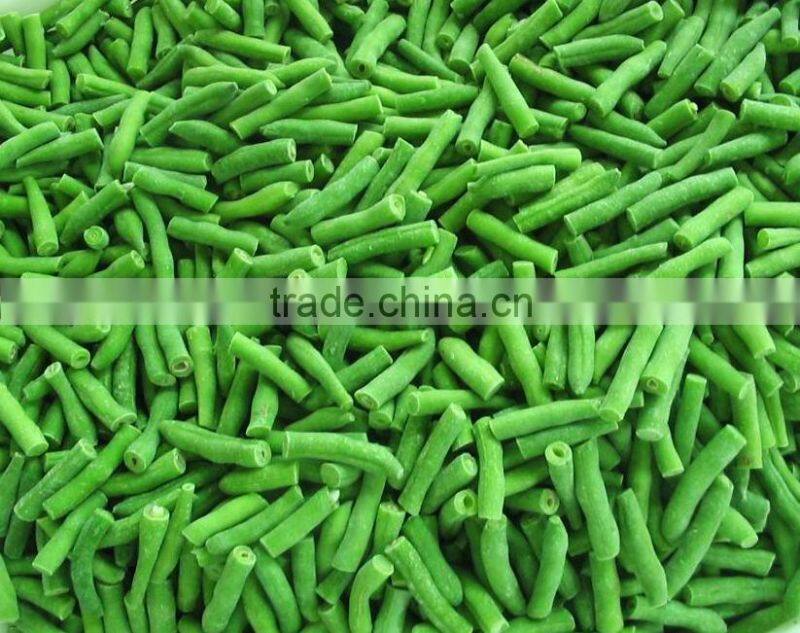 Cheap wholesale canned green beans