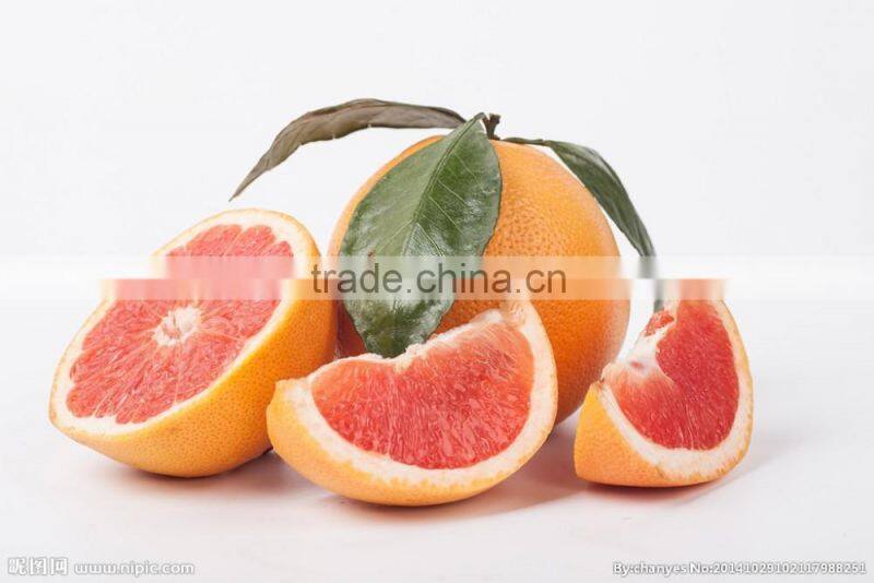 grapefruit