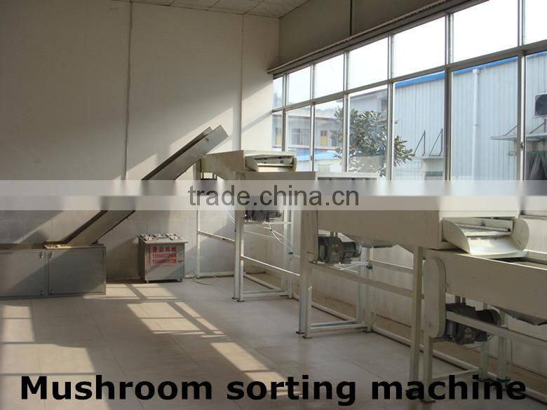 2015 new crop shiitake mushroom ,Top quality Tea flower mushroom