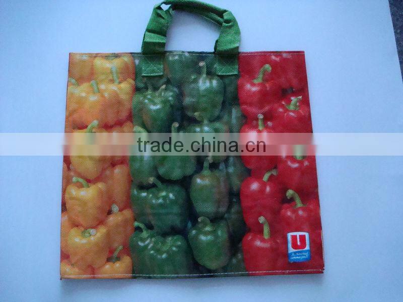 Promotional PP Non Woven Shopping Bag