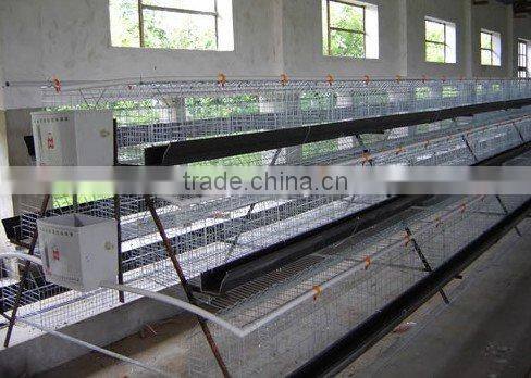 feeding cage factory