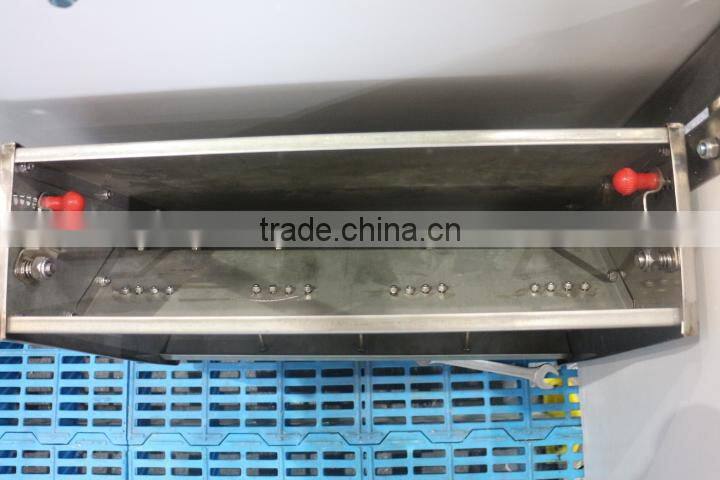 Double Side Feeder pig SS Feeders