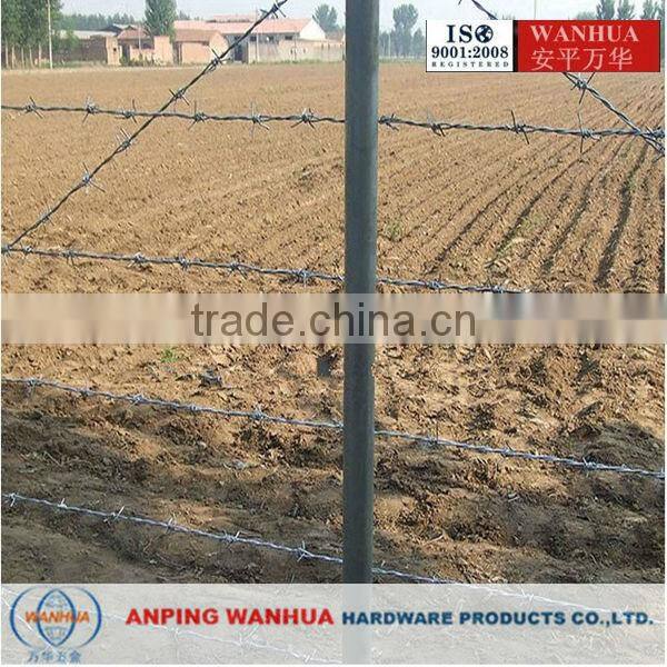 barbed tape concertina ( Professional factory ISO9001)