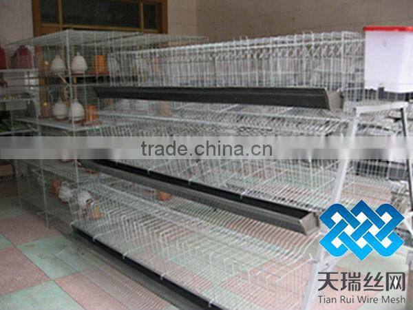 A type 3 layer poultry chicken cages
