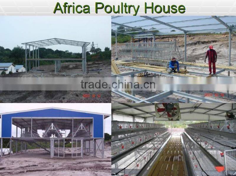 steel framed structure building