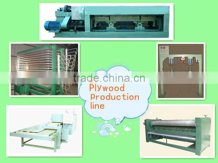 Well sell plywood production line/veneer side sanding machine