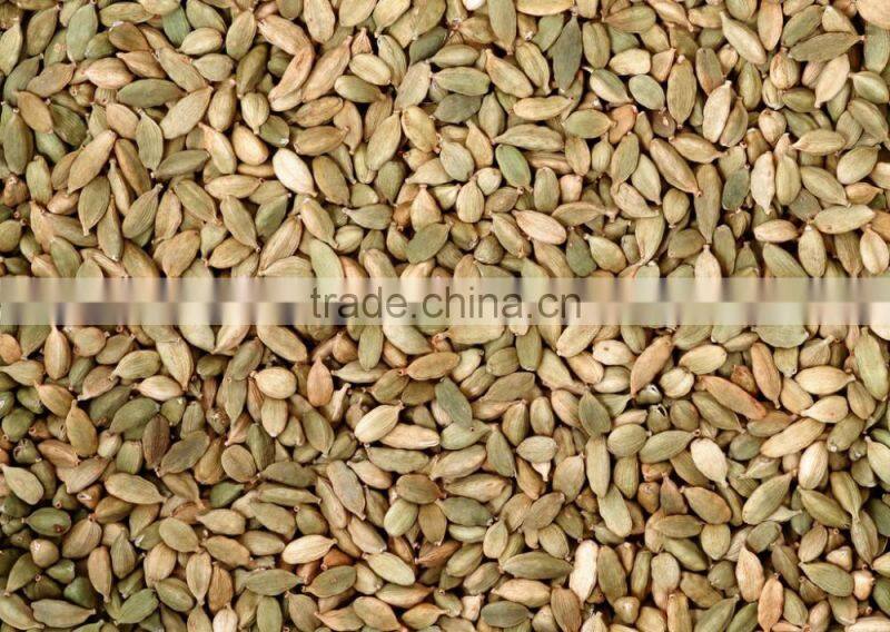 CCD CE Certificated Cumin Color Sorting Machine/Cardamom Color Sorter