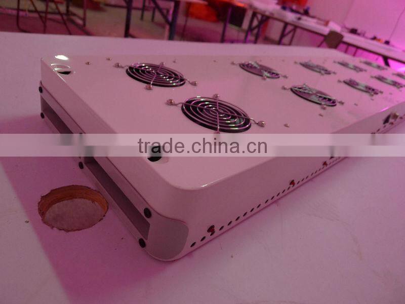 1000W led grow lights