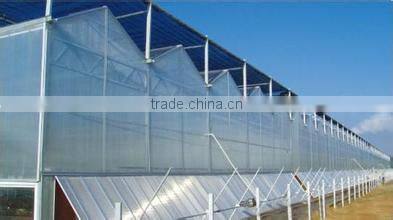 BaoLiDa venlo Polycarbonate greenhouse hot-dip galvanized steel pipe fish greenhouse