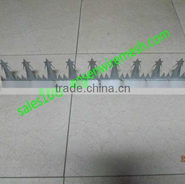 Anti climb Sharp Wall Spike on top of Wall and Fence