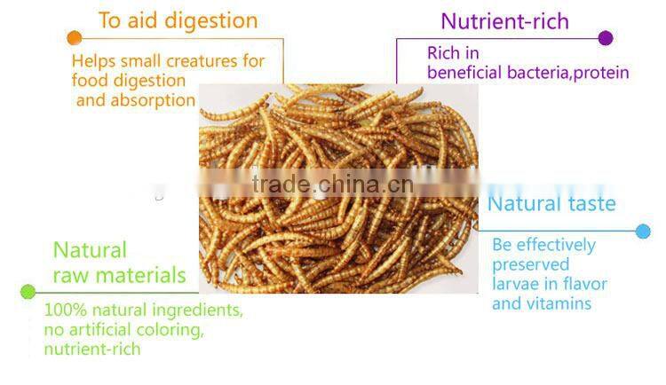 FDA certification dried mealworms for sale