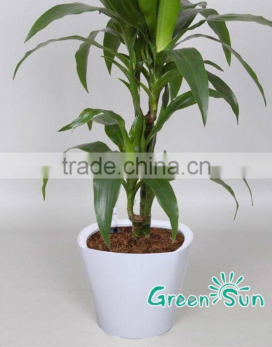 large garden pots uk large garden large plastic pots