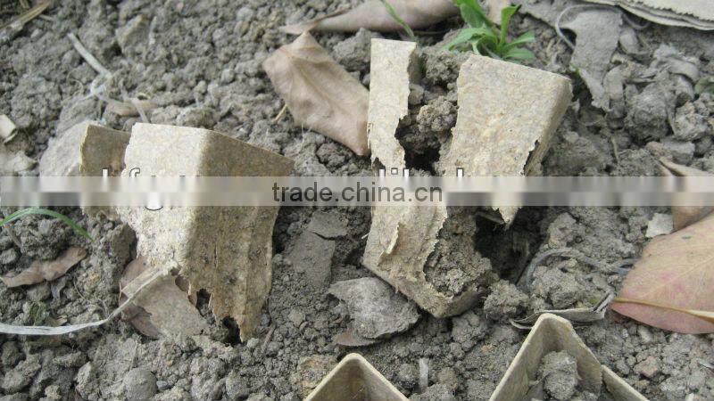 Factory wholesale biodegradable plant pot