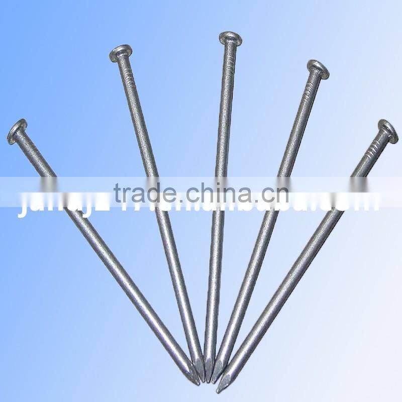Polished Common Iron Nails with Factory Price