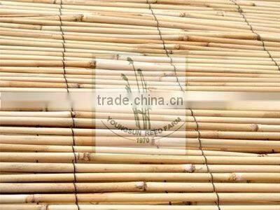 natural rolled cane reed screen
