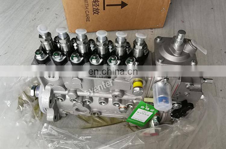 6CT8.3 Diesel Engine Weifu Fuel Injection Pump 3973900