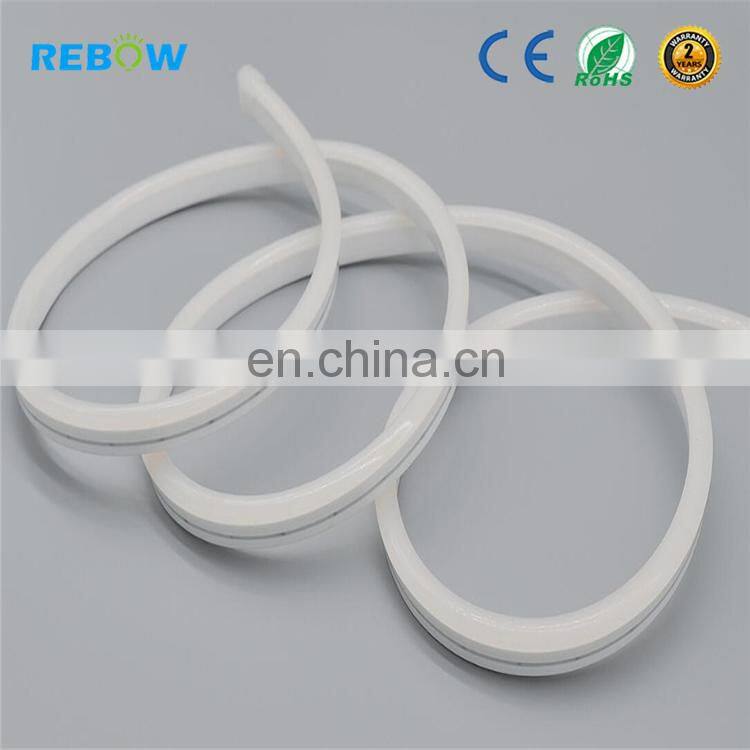 High Quality neon led waterproof 12V 24V 220v neon flex rgb led tube/strip/rope