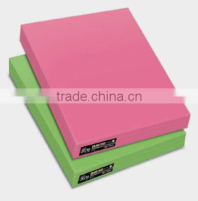 Colour Card - Elle Erre Colour Card (Bianco) (CAMPAP)