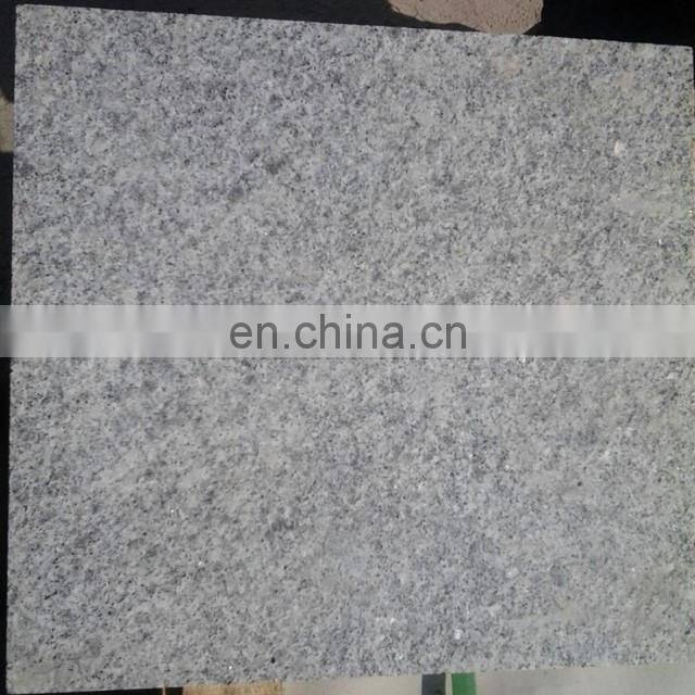 Light grey granite stepping stone