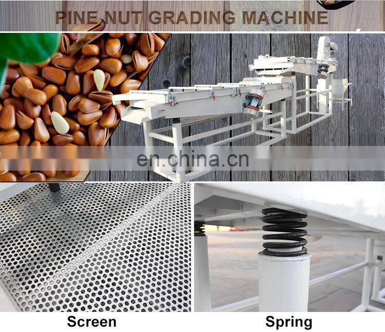 pine nut processing machine pine cone crusher pine nut cracking machine