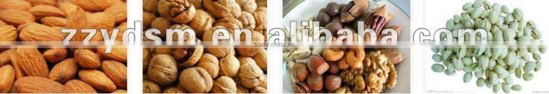 gas and electric plant seeds roasting machine