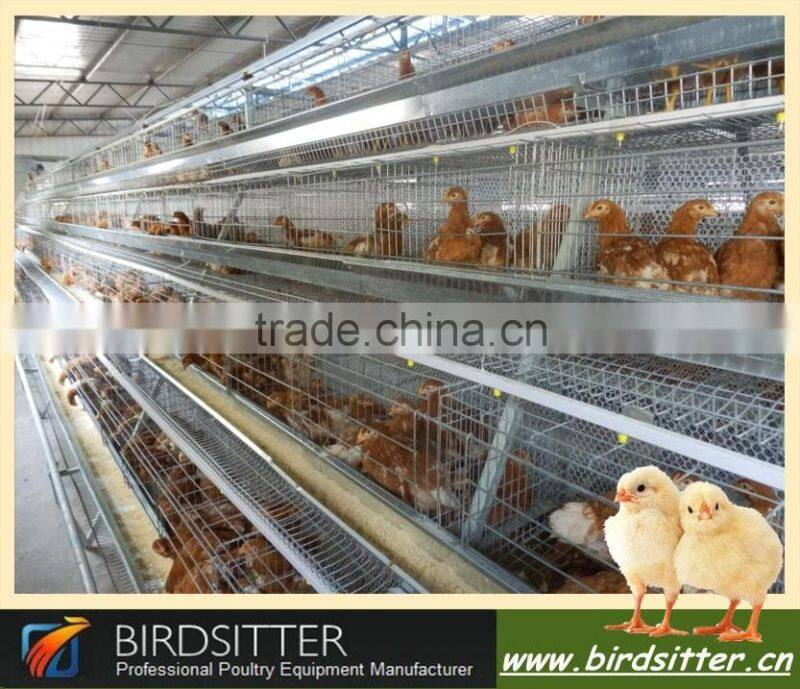 Ready Sale Automatic Chicken Feeder equipment for poultry and broiler house