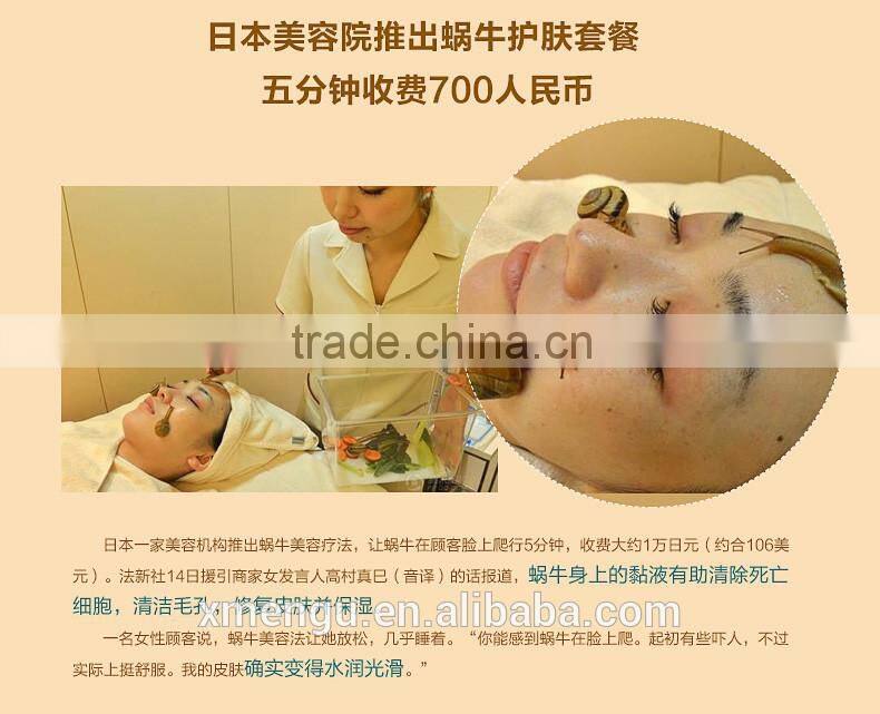 Powerful Snail Repair Serum Solution Moisturizing Remove Acne Marks Scar Skin Cell Regeneration