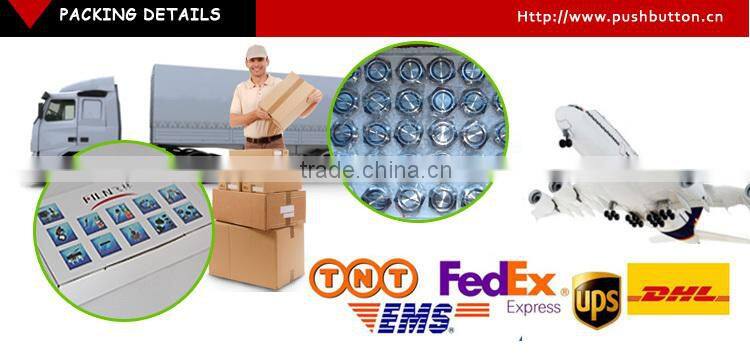 19mm stainless steel Flat Actuator electrical pushbutton switch with 6vdc ring Orange LED