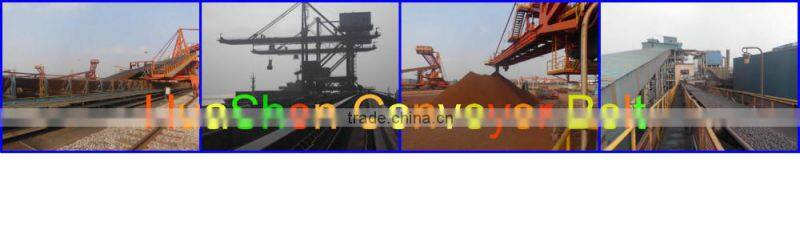 Nylon Conveyor Belt for Mine/Port/Building